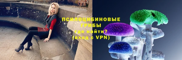 спайс Заволжск