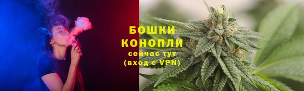 метадон Ельня