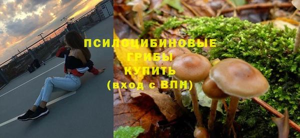 мескалин Елизово