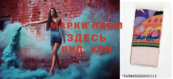 метадон Ельня