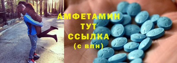 мдпв Заводоуковск